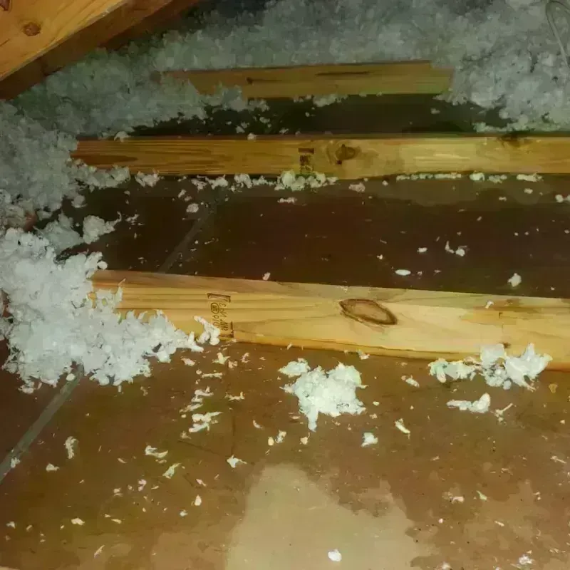 Attic Water Damage in Coffey County, KS