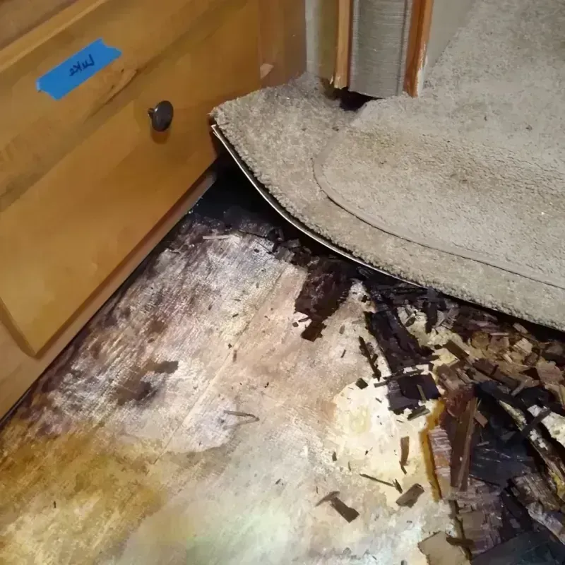 Wood Floor Water Damage in Coffey County, KS